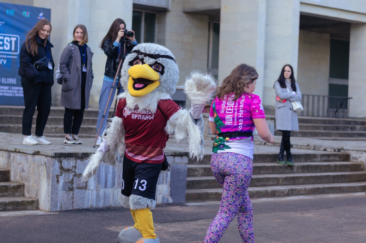 Фестиваль Campus Fest пройдет в Петергофе4