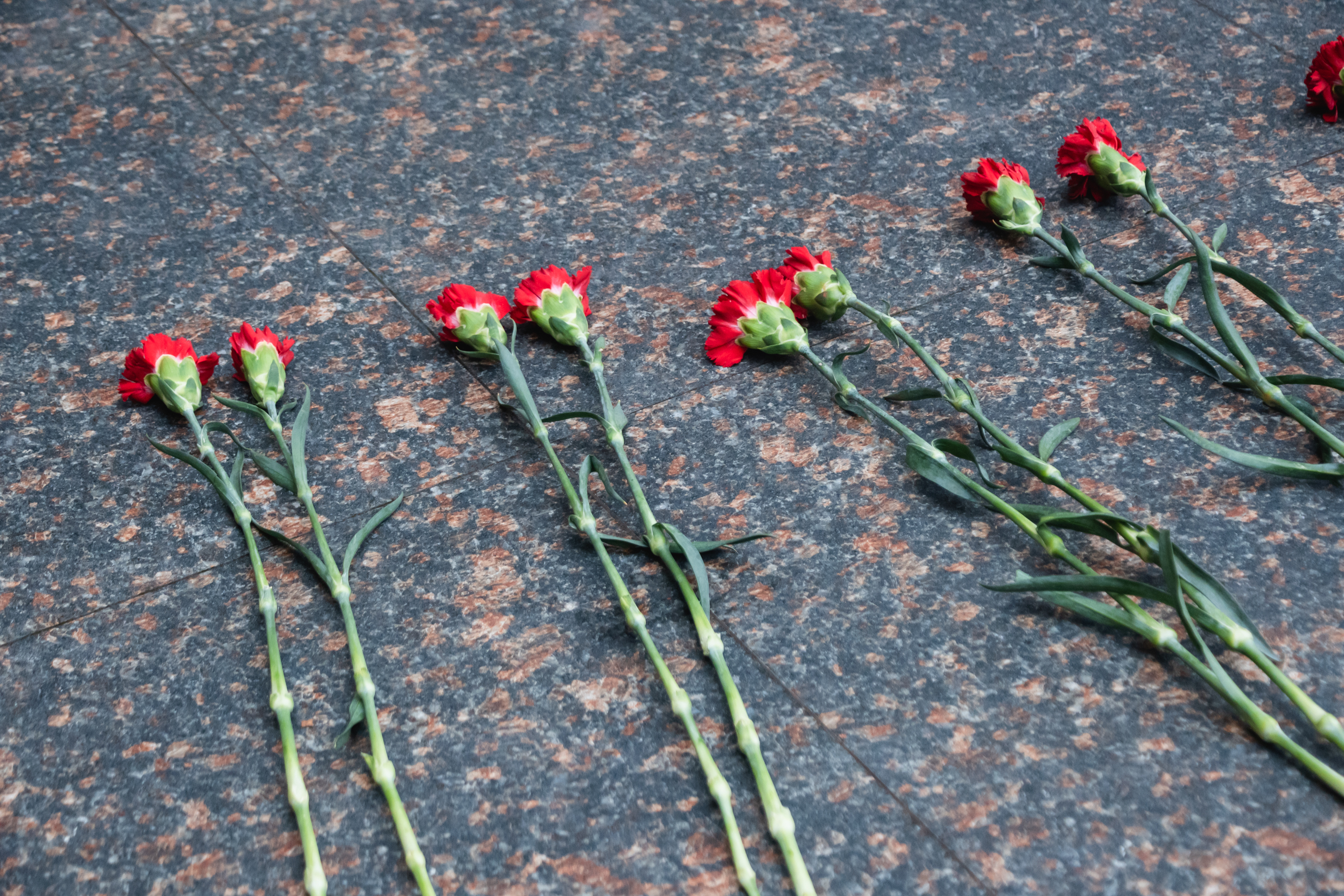 Киностудия «Ленфильм» провела экскурсию для блокадников 18