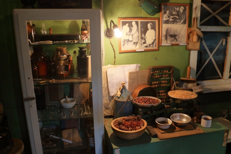 Ко Дню Победы Зоопарк приглашает на квесты и фильм о блокаде 