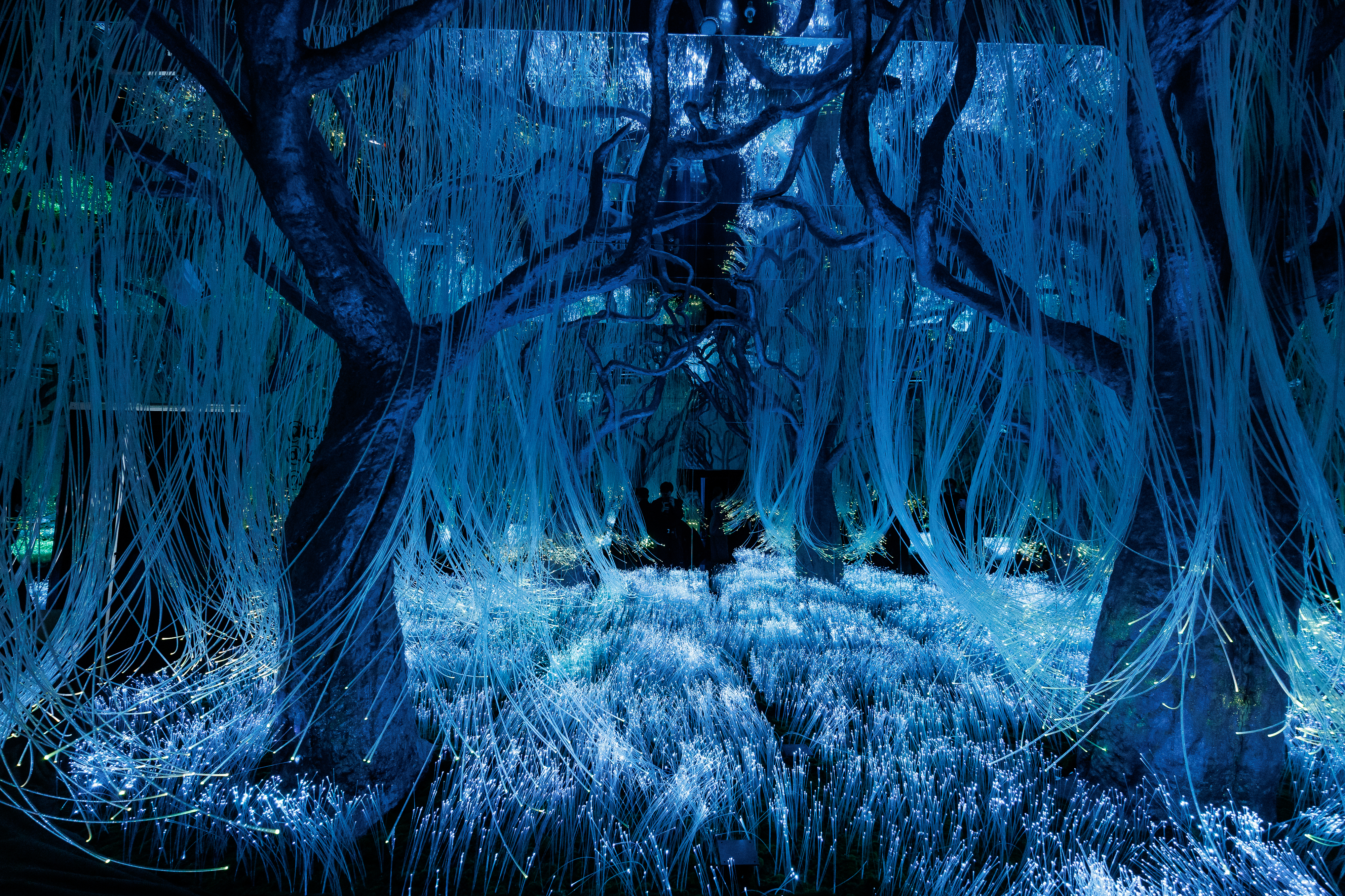 Новое арт-пространство Futurione Emotions погружает петербуржцев в мир чувств и инноваций2