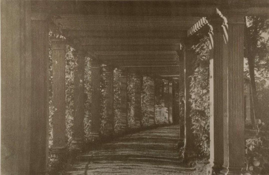 Музей Новой Академии изящных искусств