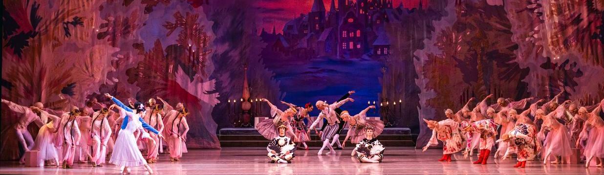 Правообладатель фото: Пресс-служба Мариинского театра.