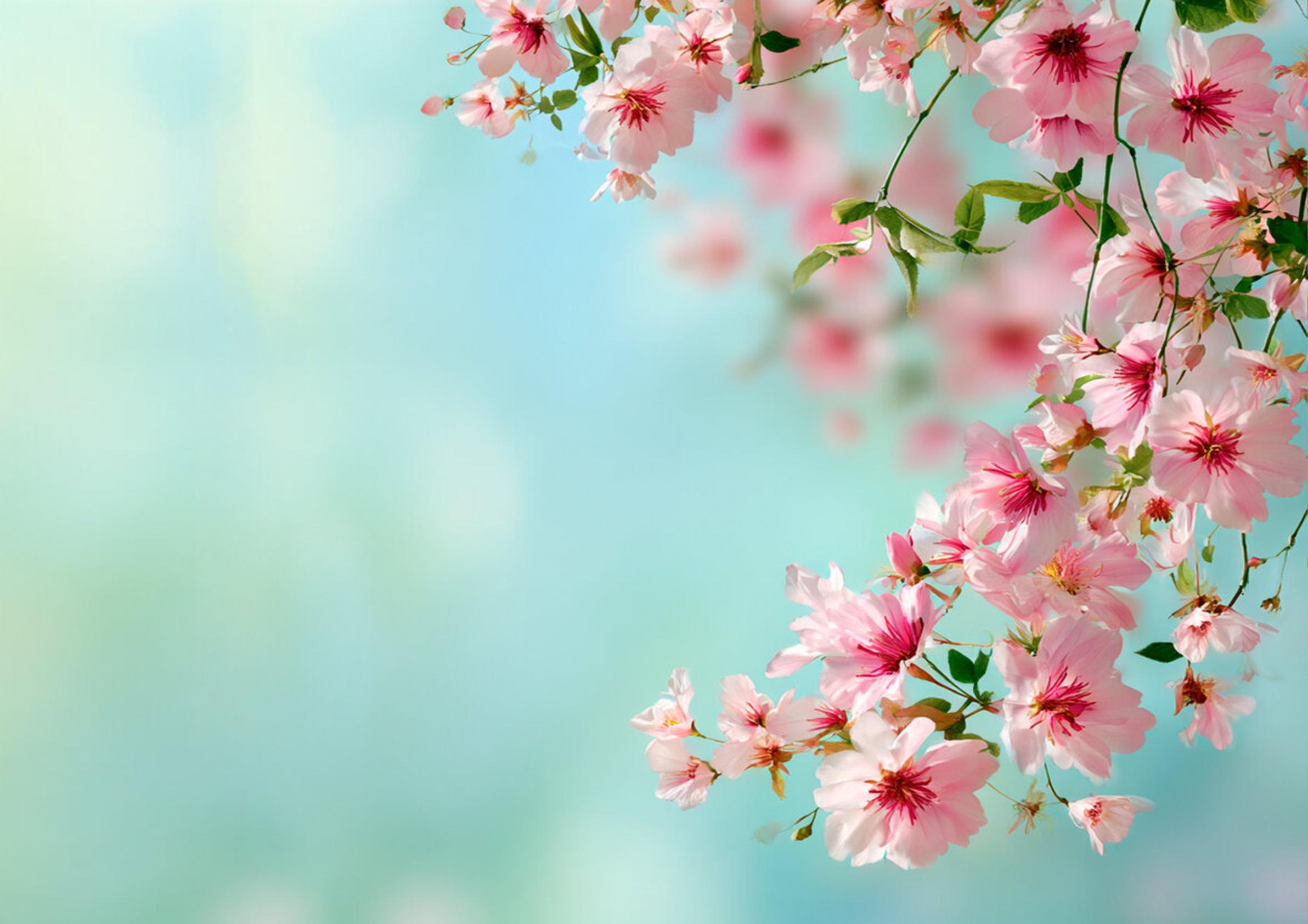 СПб ГБУ "КДК "Красносельский"