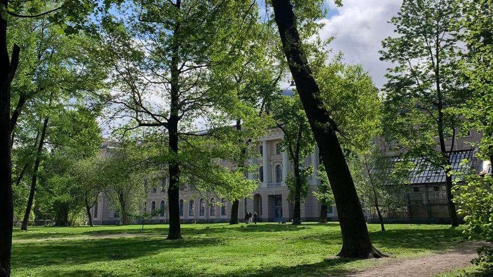 ФГБУК «Научно-исследовательский музей при Российской академии художеств»