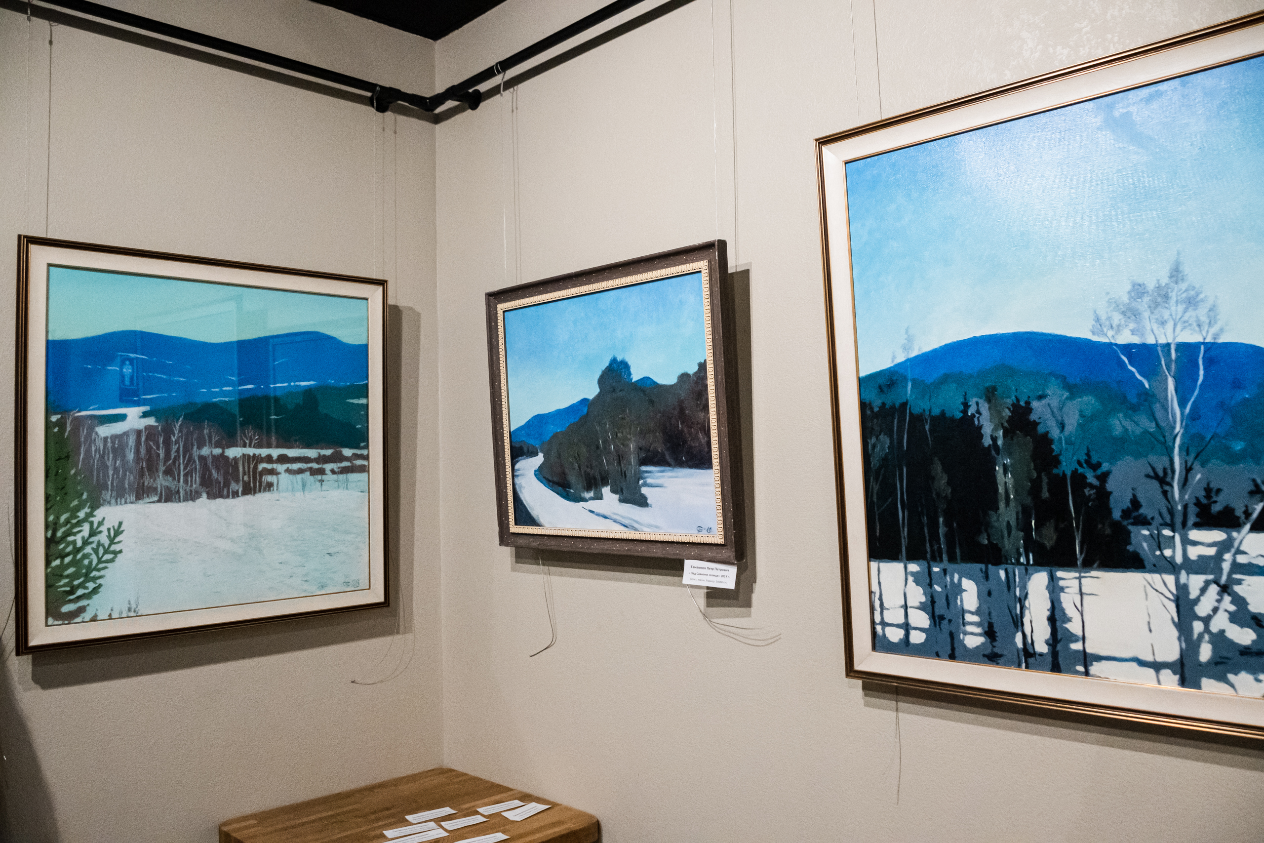 Вся красота зимы предстала на выставке Петра Гамаюнова12