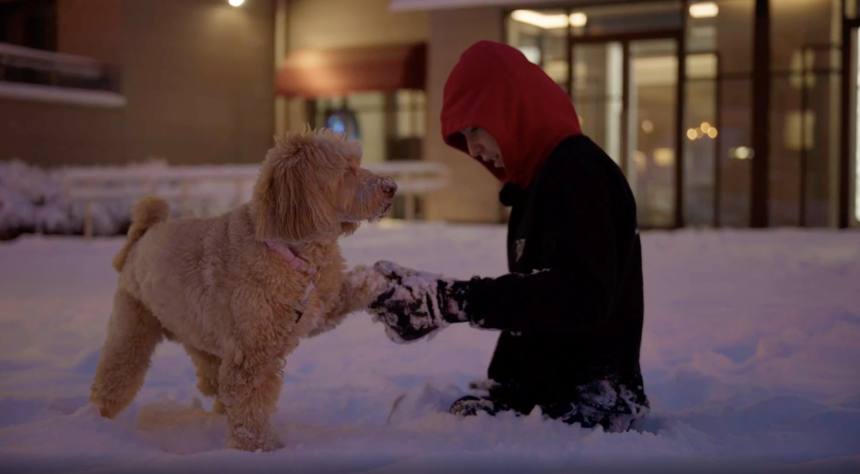 «Ленфильм» представит новый документальный фильм «Максимум»3