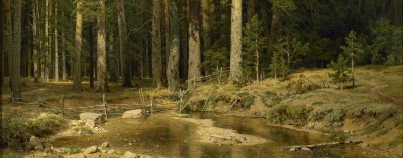 Обложка: Иван Шишкин. Корабельная роща.