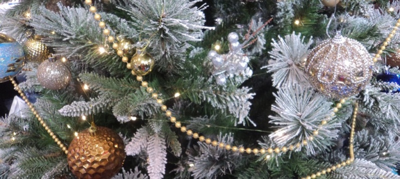 «Венок Рождества: орган над городом» – VIII Органный фестиваль (1 – 13 января 2026 года)