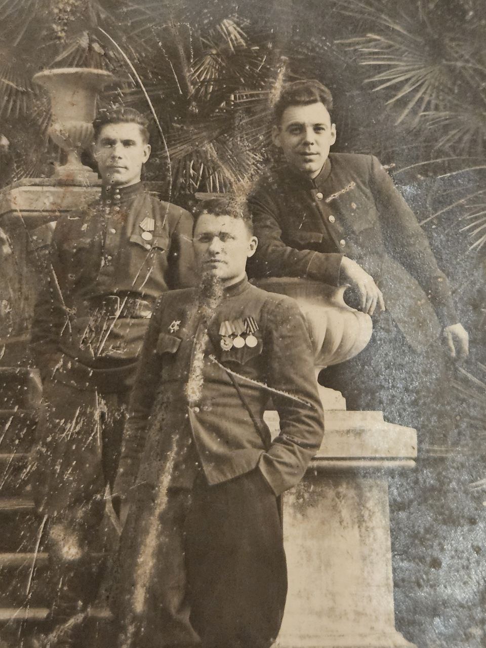 «Военная история моей семьи. Реликвия»: фотографии и удостоверение партизана Константина Шашкина1