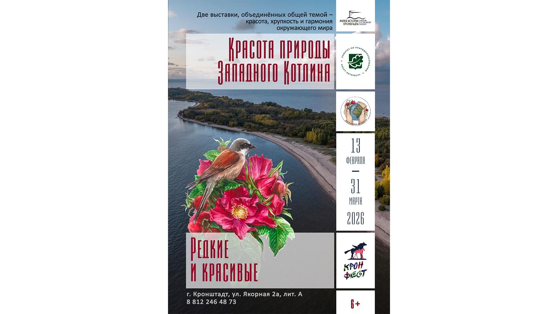 Две выставки в рамках XVII Международного экологического фестиваля искусств «КронФест-2026»