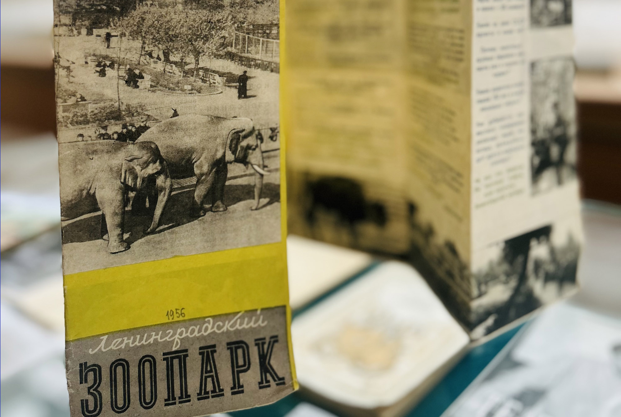  «Ленинградский зоопарк: история и обитатели» - выставка в РНБ4