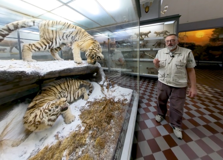 Зоологический музей создал первую поэтическую экскурсию