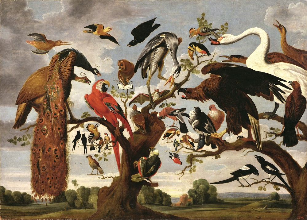 В Музее Академии художеств посвятят выставку натюрмортам и анималистике XVIII века2