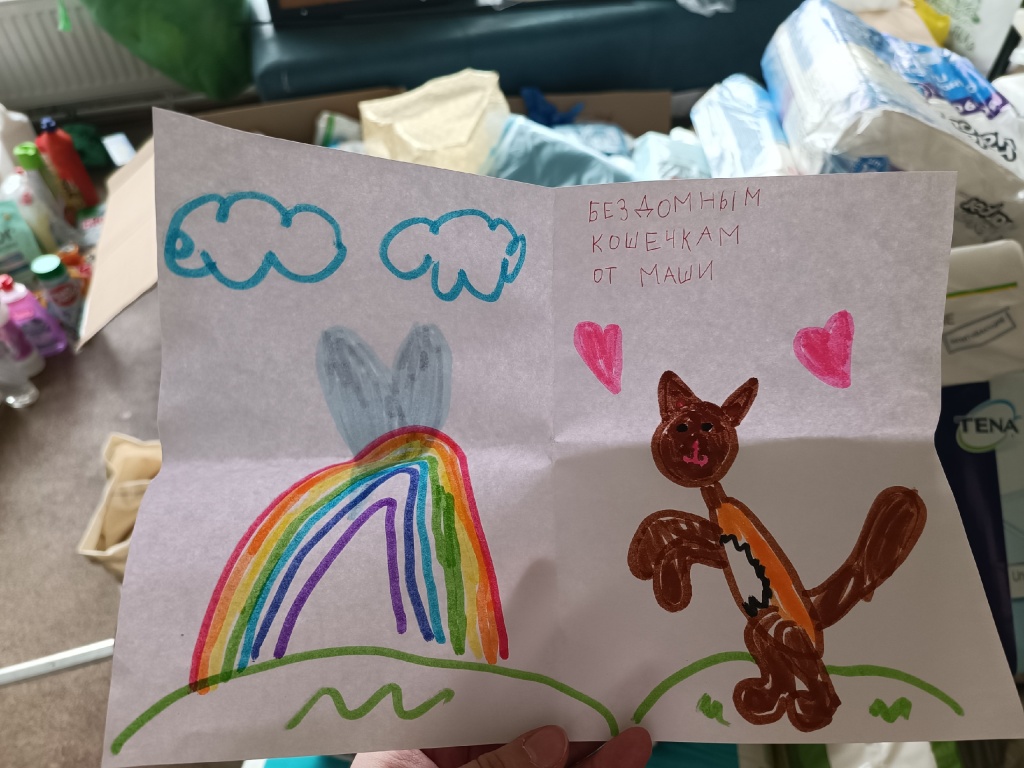 В этом году собранная помощь будет передана приютам «Особый друг», «Кошки Северной Пальмиры», «Убежище» и «ТЕО». 