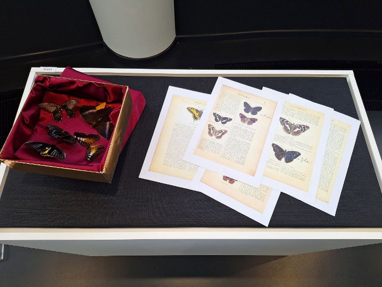 Фото предоставлено пресс-службой «Музейного агентства» Ленинградской области. Правообладатель: «Музейное агентство» Ленинградской области. 