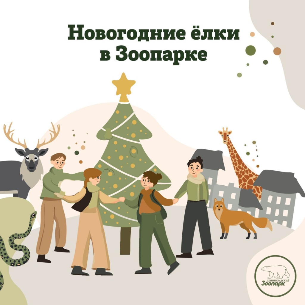 Новогодние елки в Зоопарке. Правообладатель: пресс-служба зоопарка.