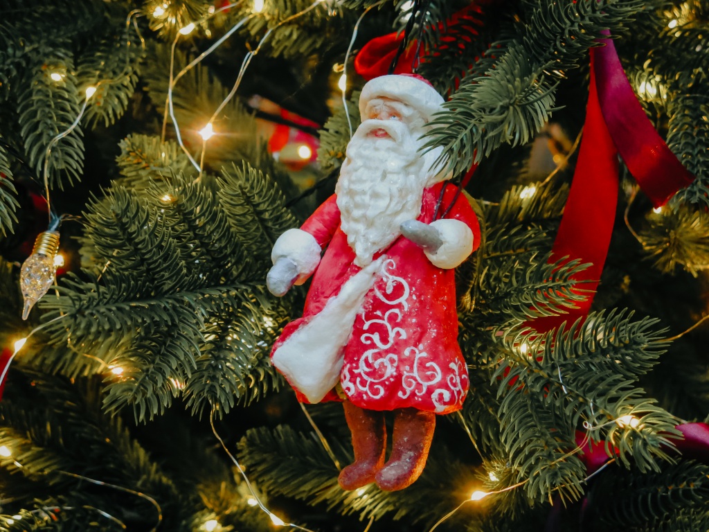 Фото: Ирина Иванова. Правообладатель: Институт культурных программ. новый год 2024 Ирина Иванова-3268.jpg