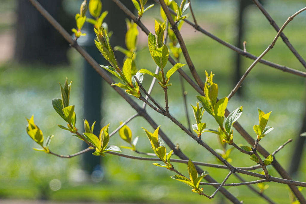 Бесплатные мероприятия в Петербурге: с 7 по 20 апреля 2026