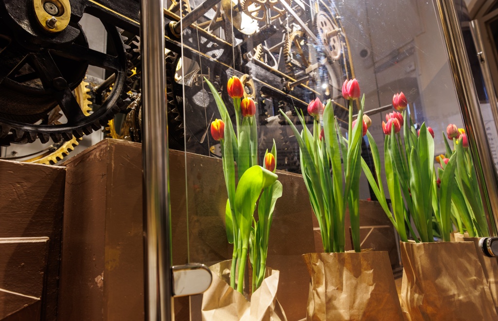 Цветочное убранство вновь заполнит пространство Думской башни, превратив исторический памятник в настоящую оранжерею. 