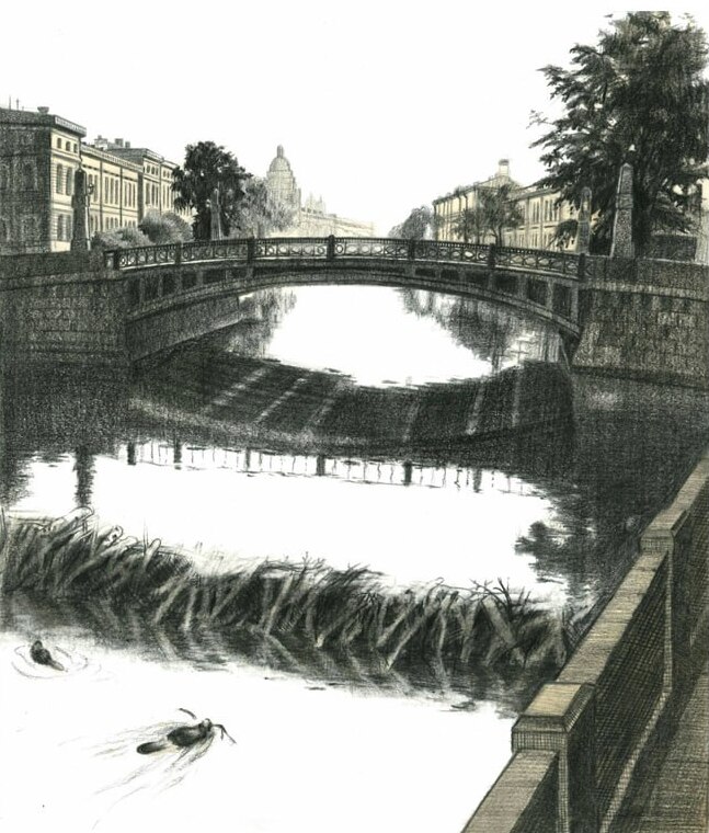 Павел Назим. Бобры. 2013. Павел Назим. Бобры. 2013.