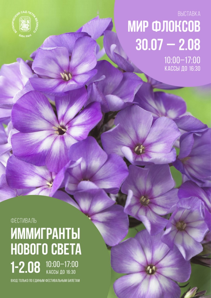 Афиша фестиваля. Афиша фестиваля.