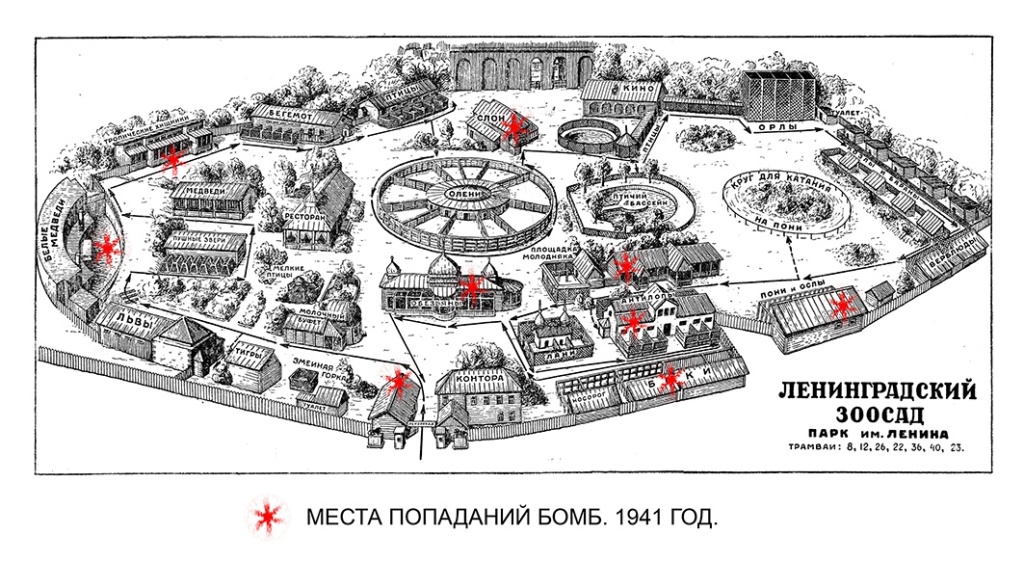 Ленинградский зоосад в годы Великой Отечественной Войны очень сильно пострадал от обстрелов. Правообладатель фото: киностудия «Ленфильм». Ленинградский зоосад в годы Великой Отечественной Войны очень сильно пострадал от обстрелов.
