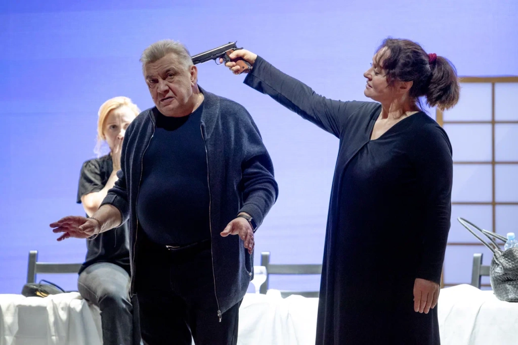 Исполнители главных ролей Сергей Кошонин Наталья Суркова.