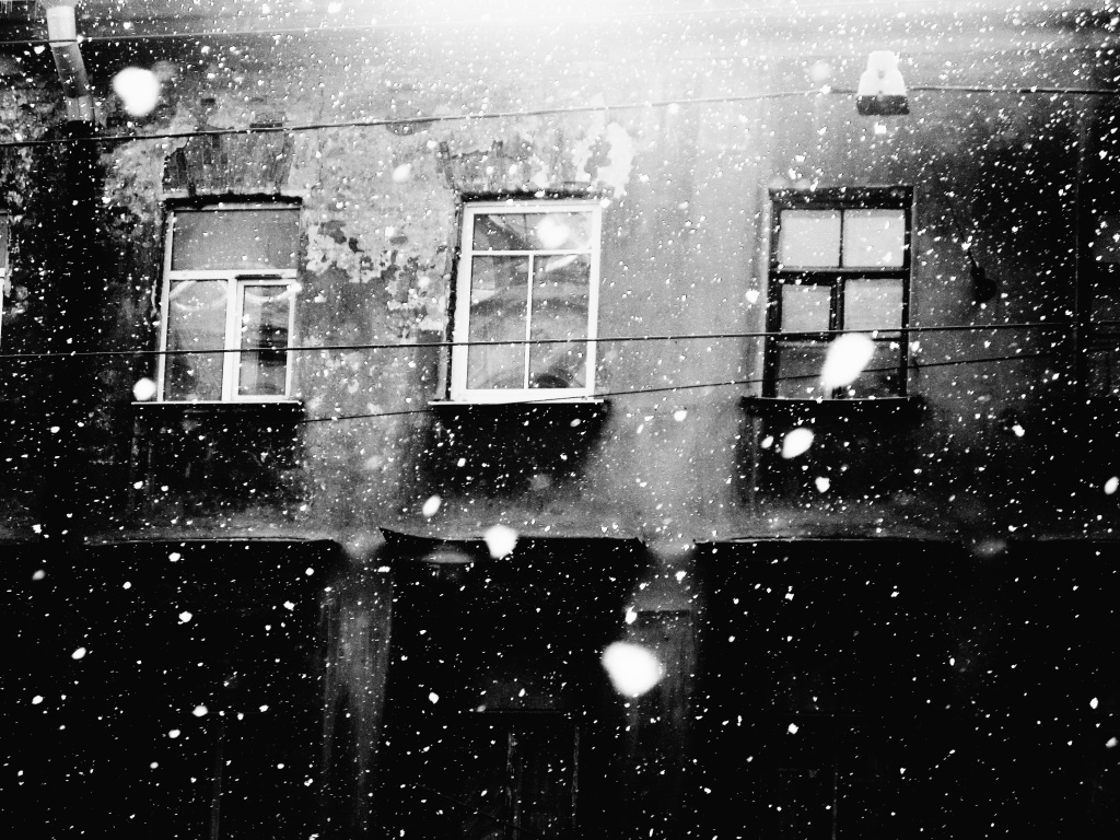 Падает снежок. Фото: Ирина Иванова.