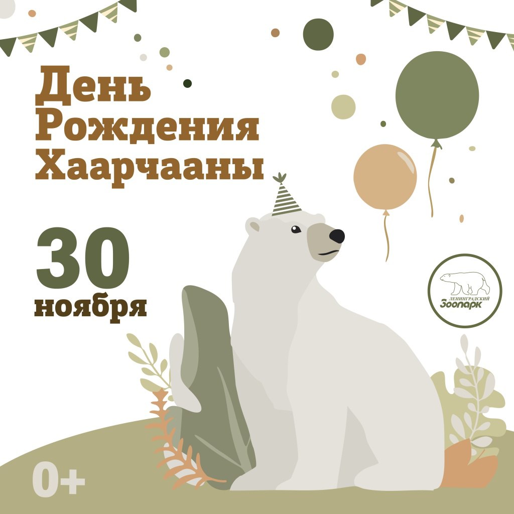 День рождения Хаарчааны. 