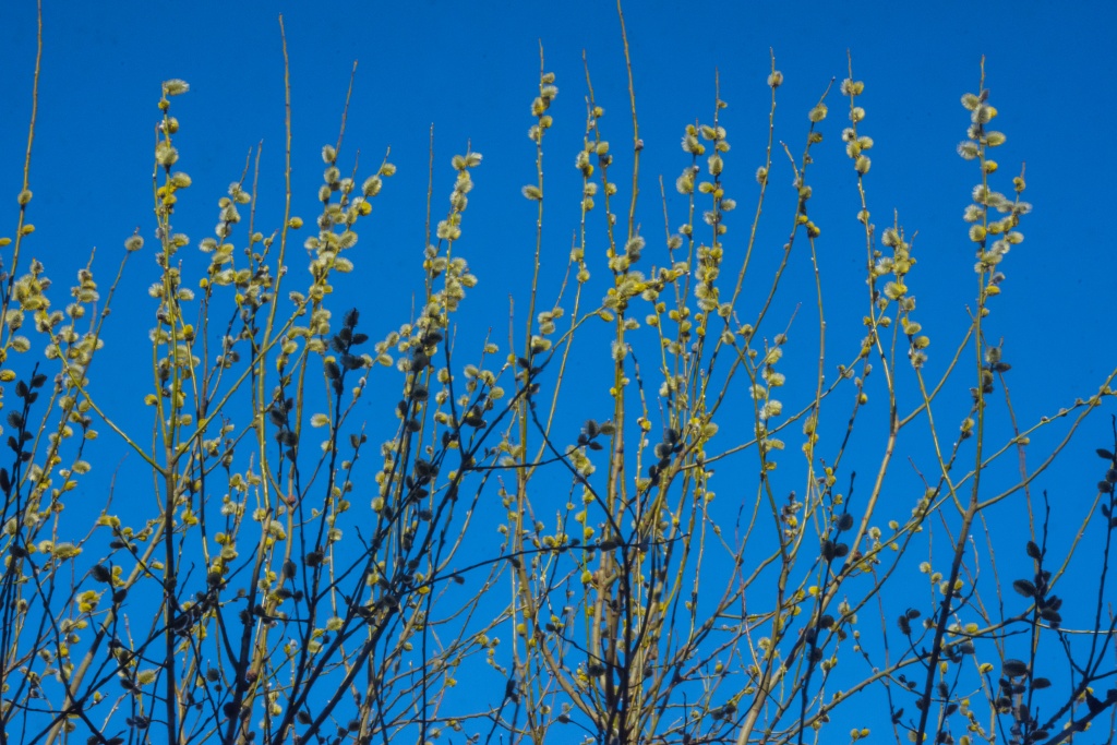 Театр на Моховой поделился планами на май и июнь