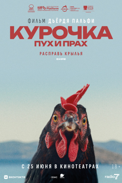 «Курочка. Пух и прах».