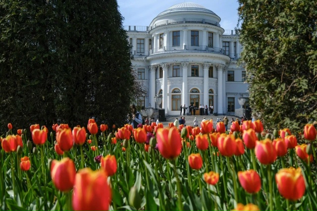 Фестиваль тюльпанов на Елагином острове. Источник: vk.com/tulipfest2026. Правообладатель: vk.com/tulipfest2026. 