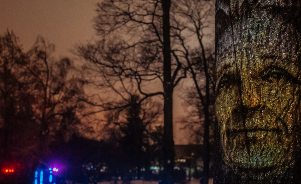 Фото: садсвета.рф Безымянный.png