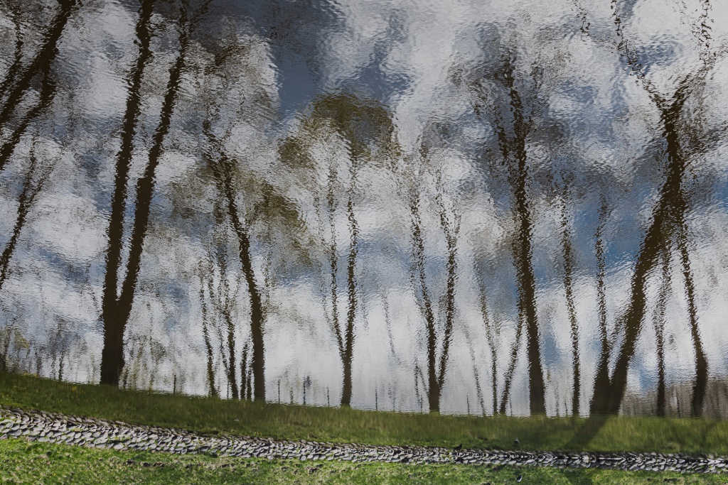 Весна 2025. Фото: Ирина Иванова. Весна 2025 Ирина Иванова-3199-6306.jpg