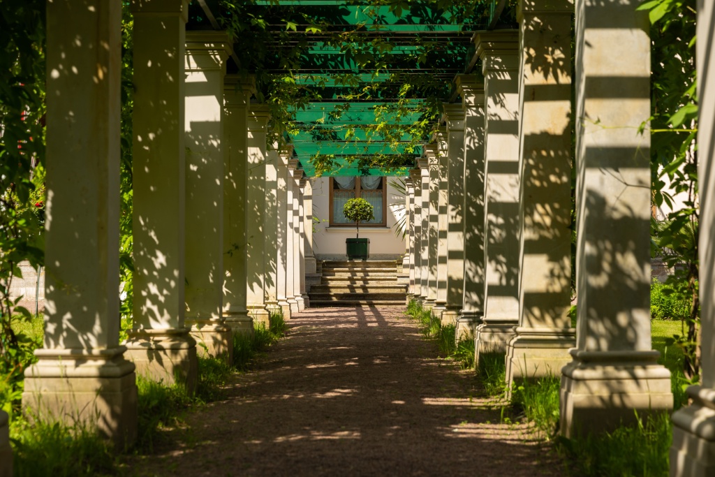 Музей-заповедник «Петергоф» объявляет о старте масштабного празднования 200-летнего юбилея парка Александрия. 