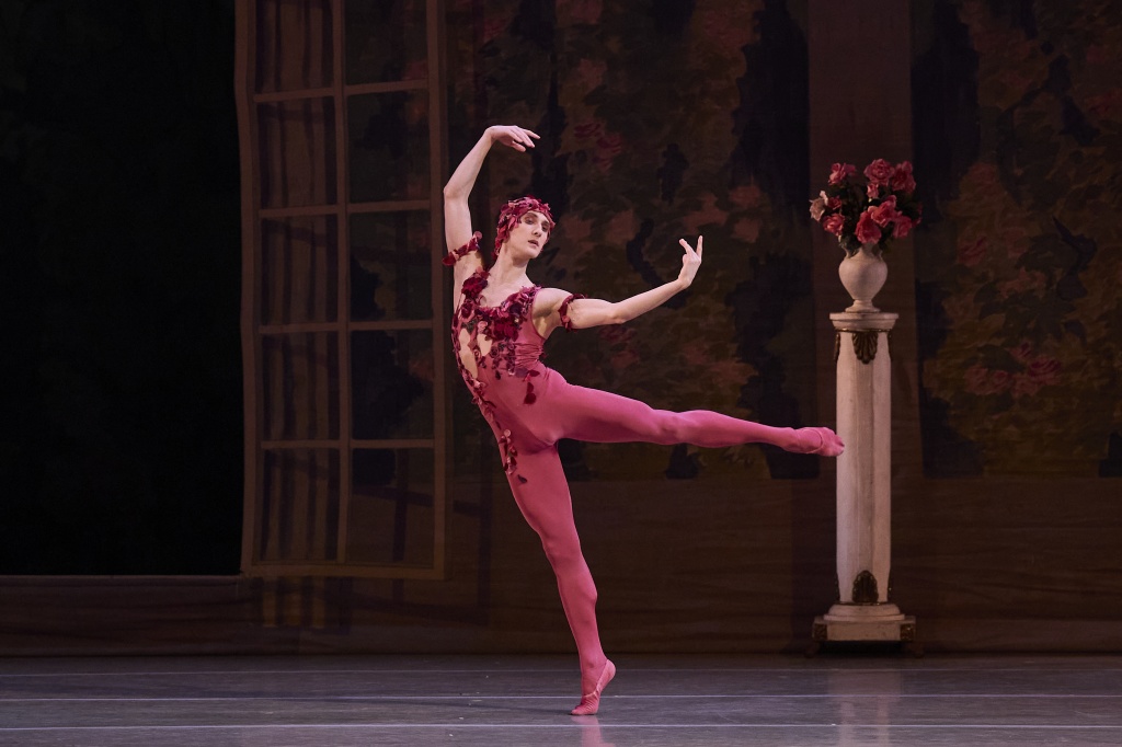 «Видение розы».