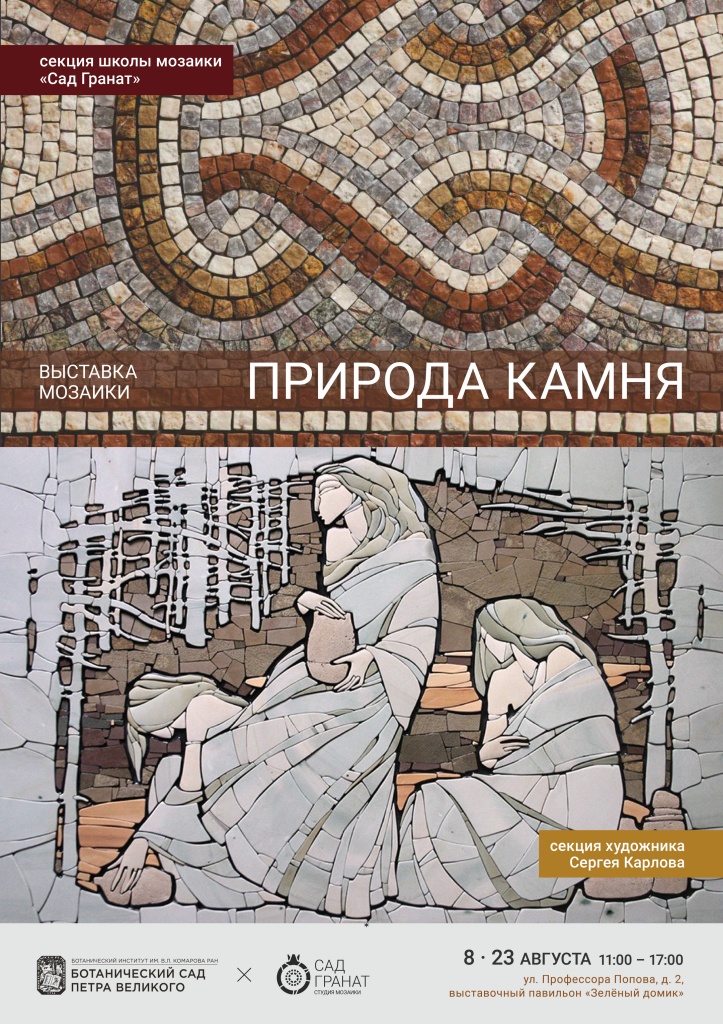 Правообладатель изображений: Культурно-просветительский центр БИН РАН. плакат мозаика 2026.jpg