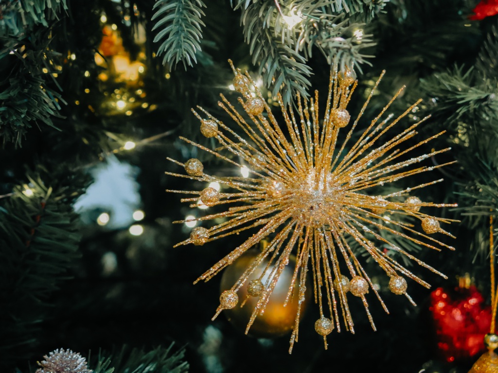 новый год 2024 Ирина Иванова-3350.jpg