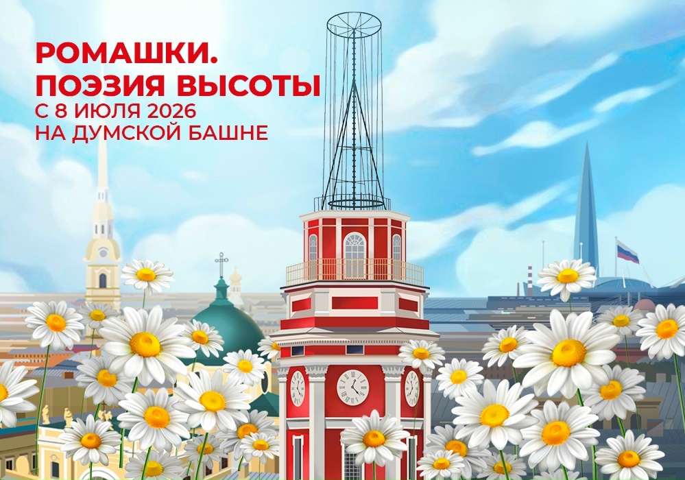 Ромашки. Поэзия высоты. Поэзия высоты.