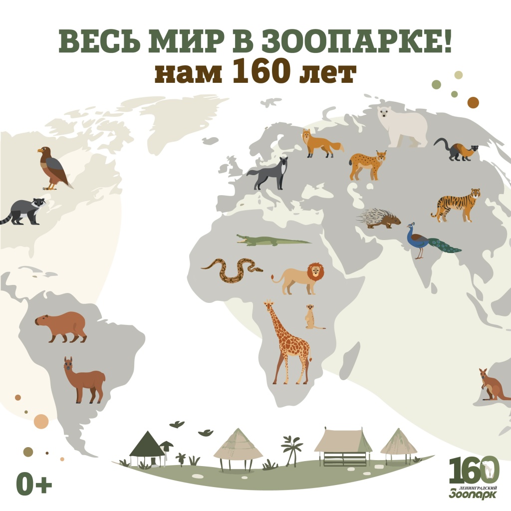 Фото: vk.com/spbzoopark. Правообладатель: Ленинградский зоологический парк. lEM7LxHq_Bn3f46pJtbH_MJQk-H57vrAKbX-vl_yfc1TCKhYQqZmW8th8auNEdsonNwUozf9lE1usYn_zkfybeEh.jpg