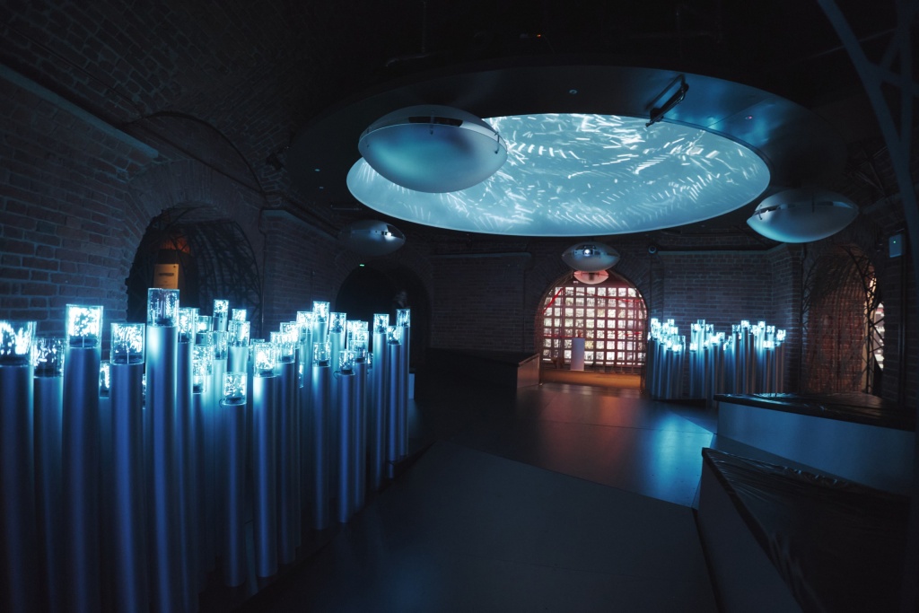 Правообладатель: пресс-служба галереи цифрового искусства «Цифергауз».