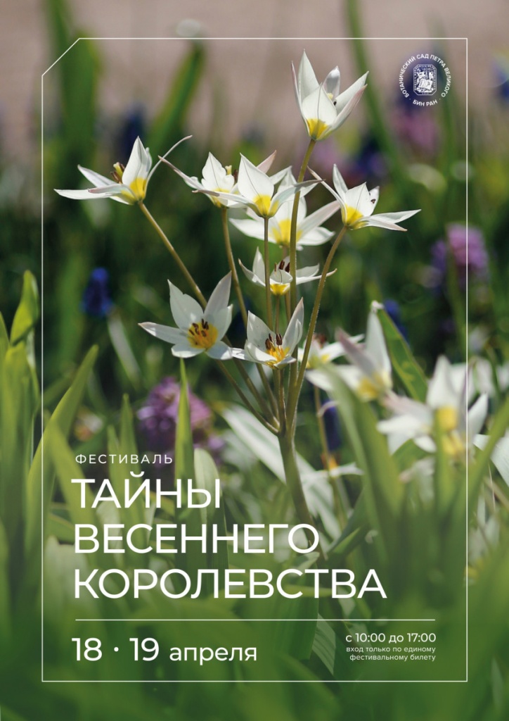 Афиша фестиваля. 