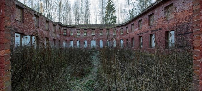 Ковалевский лес.