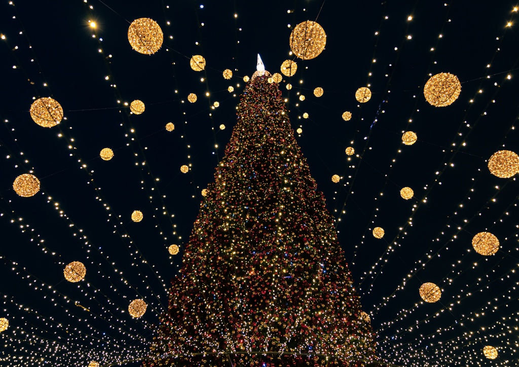 large-city-christmas-tree-with-many-lights (1).jpg