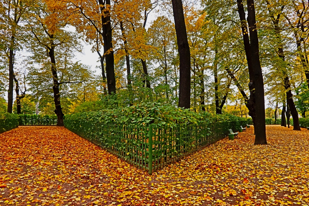 Летний сад. Фото: Ирина Иванова. Правообладатель: Институт культурных программ. Летний сад. Фото: Ирина Иванова.