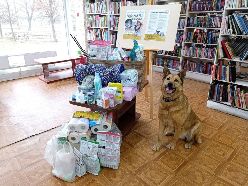 Под руководством экспертов, волонтеров и в компании четвероногих друзей вам расскажут об уважении и бережном отношении к братьям нашим меньшим и о том, как быть осознанным хозяином. 