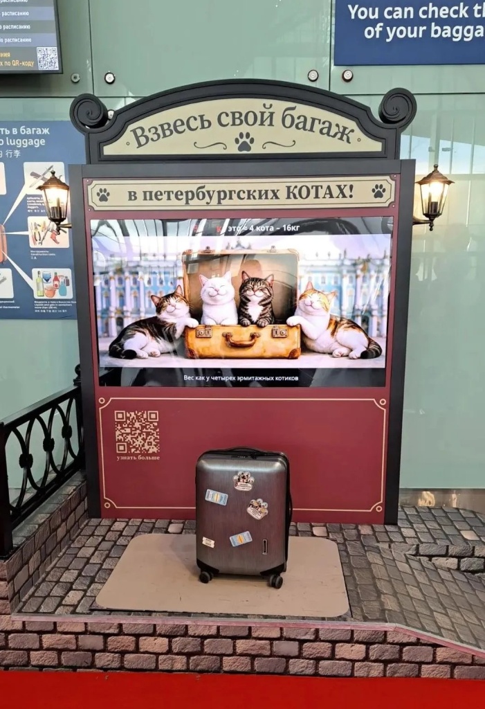 Новый «котометр» установлен на третьем этаже терминала в зоне регистрации у стойки 68. Новый «котометр» установлен на третьем этаже терминала в зоне регистрации у стойки 68.