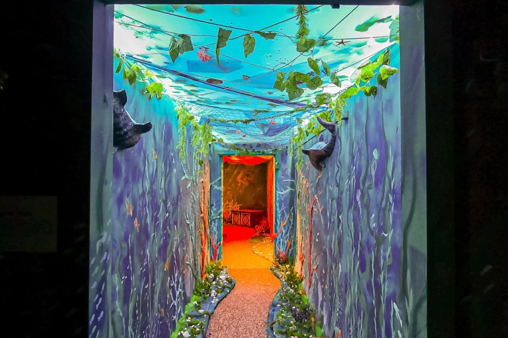 Фото: Ирина Иванова. Правообладатель: Институт культурных программ. 