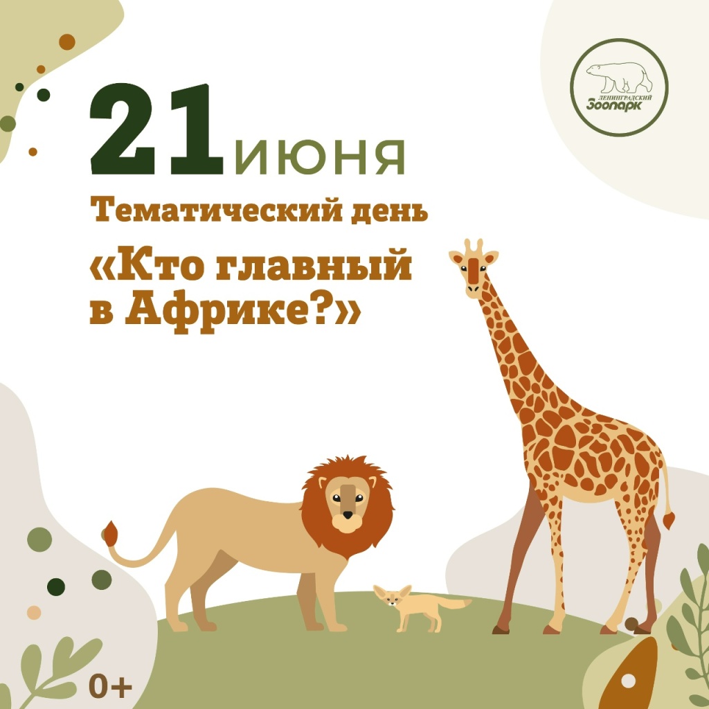 r-h14lk4AG5dTNg4pzYO1GHwUd6ZJbh599t-ipzJZxd-tvoCbCdEJDt2tS90gf2cUEl5AQVdrzmPntTMaUdimtHe.jpg
