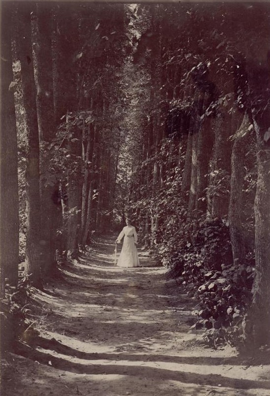 С.А. Толстая в аллее парка. 1903.